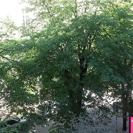 Light, Spacious In The Heart Of *