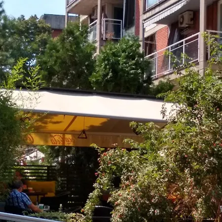 Light, Spacious In The Heart Of Belgrade